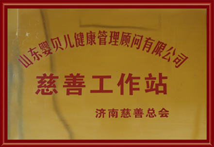公司荣誉